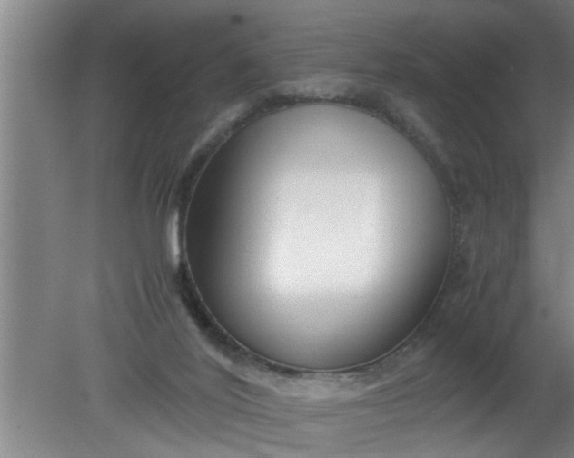 X0000080120020200612221843