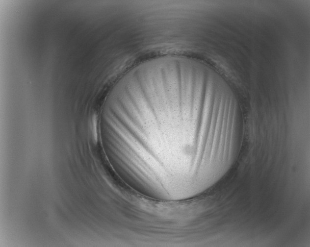 X0000080120022200612221843