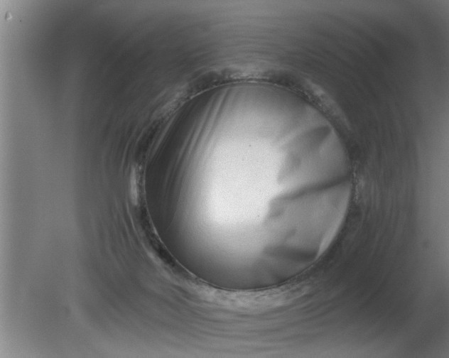 X0000080120026200612221843