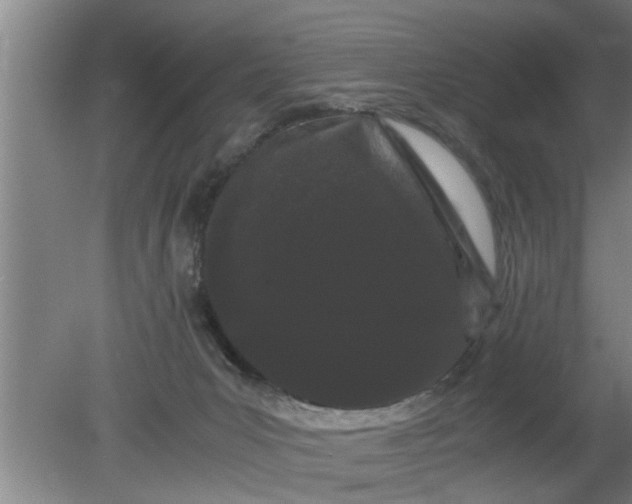 X0000080120031200612221843