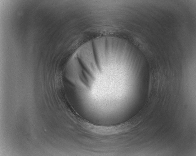 X0000080120034200612221843