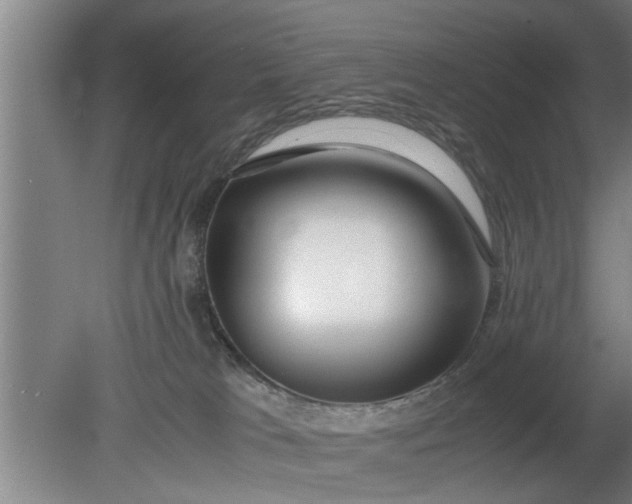 X0000080120037200612221843