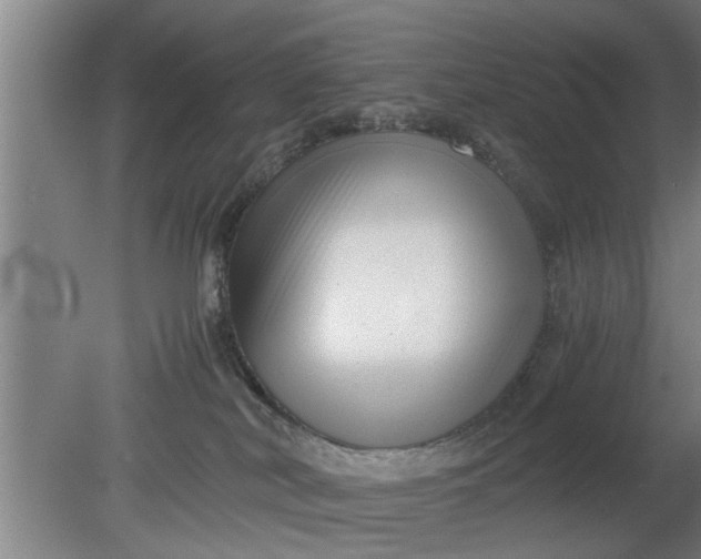 X0000080120038200612221843