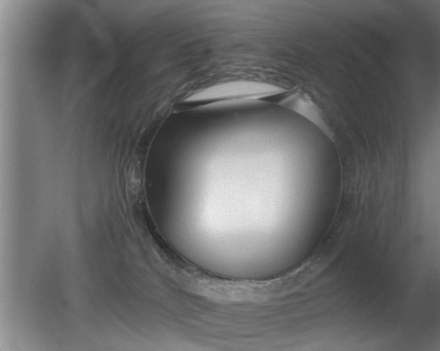 X0000080120040200612221843