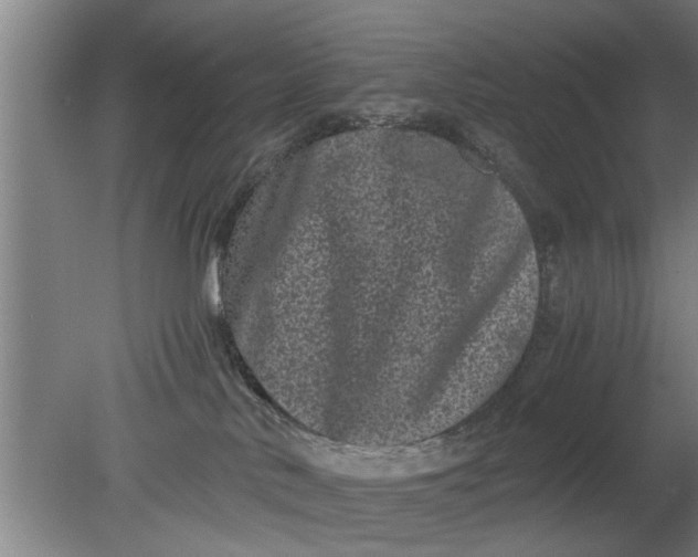X0000080120042200612221843