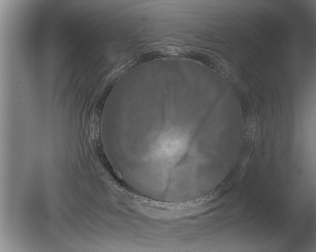 X0000080120043200612221843
