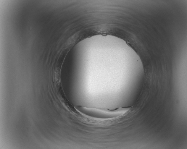 X0000080120044200612221843