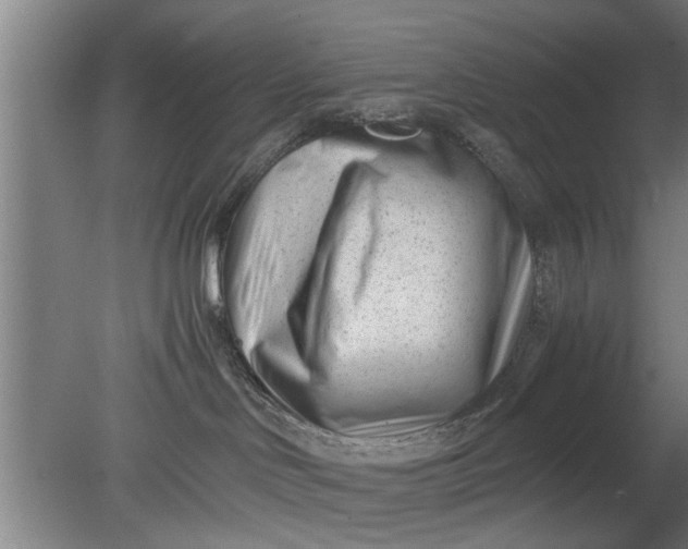 X0000080120046200612221842