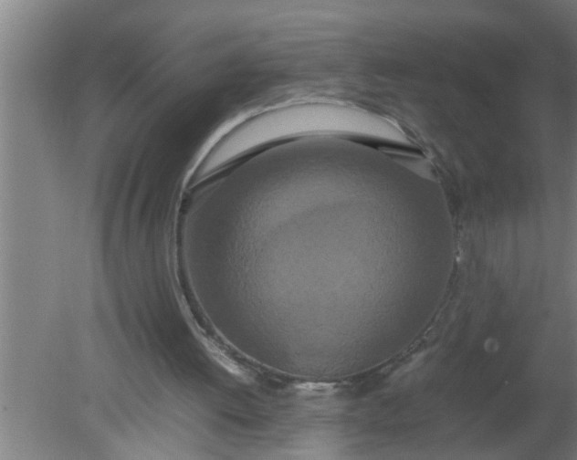 X0000080120052200612221842