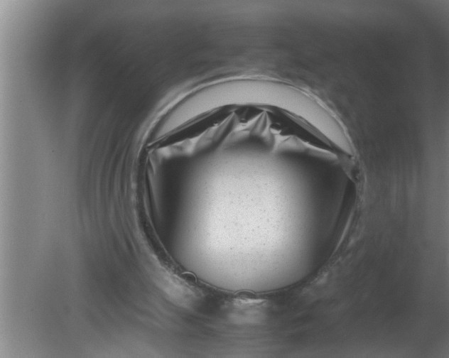X0000080120055200612221842