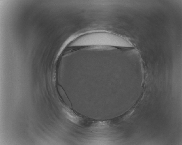 X0000080120056200612221842