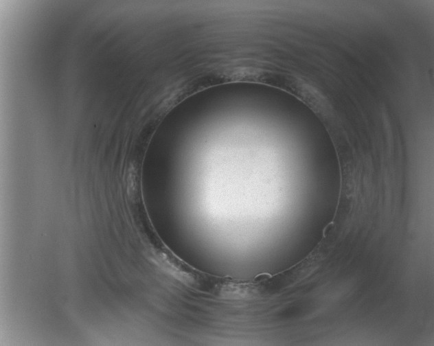 X0000080120077200612221842