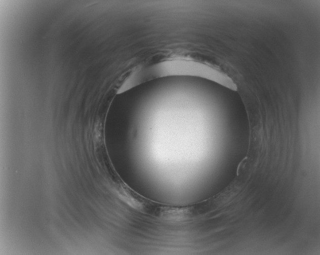 X0000080120081200612221842