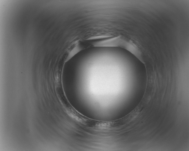 X0000080120084200612221842