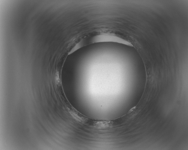 X0000080120089200612221842