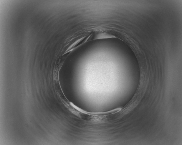 X0000080120096200612221842