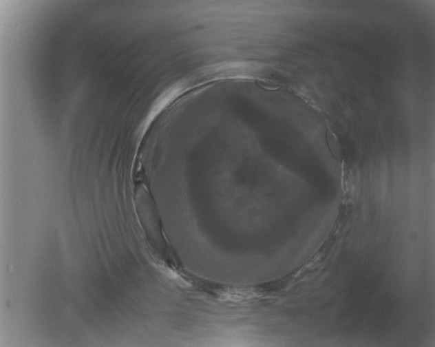 X0000080120099200612221842