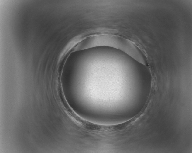X0000080120101200612221842