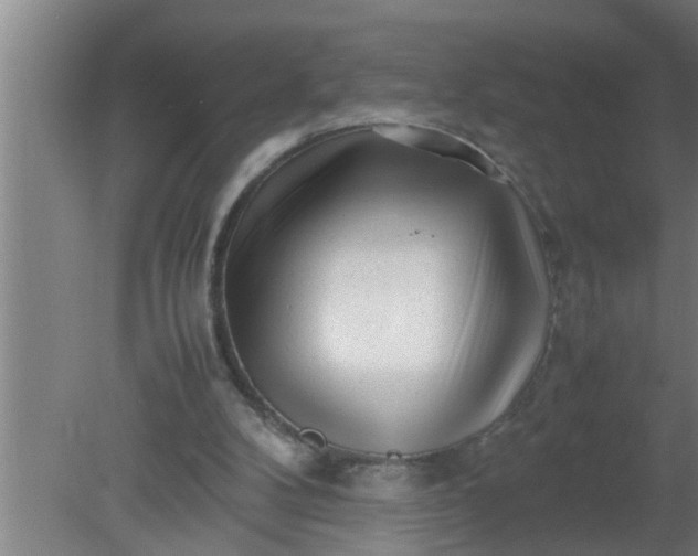 X0000080120104200612221842