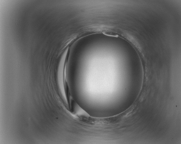 X0000080120105200612221841