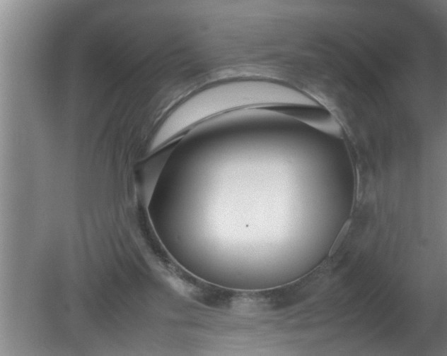 X0000080120109200612221841