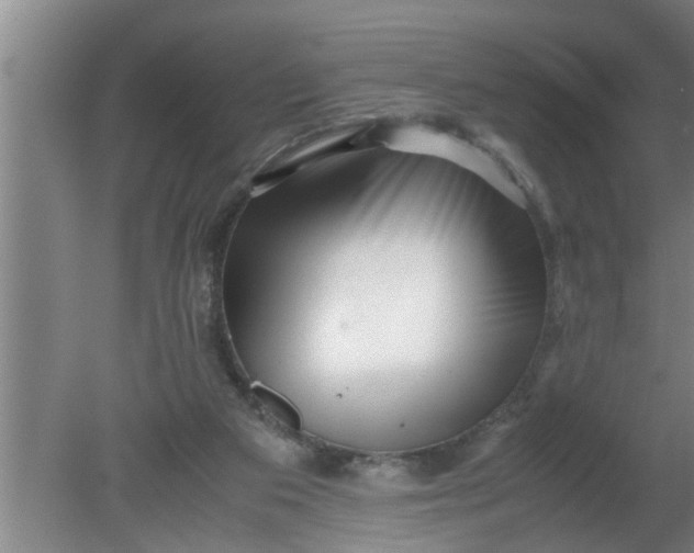X0000080120113200612221841