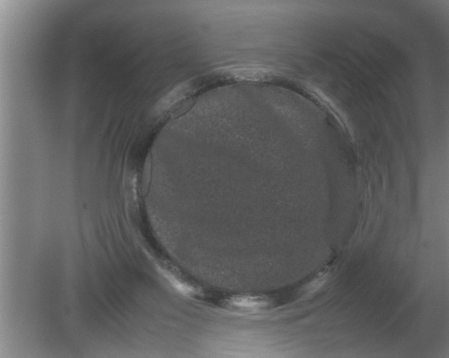 X0000080120117200612221841