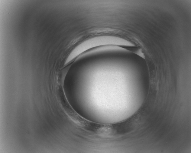 X0000080120119200612221841