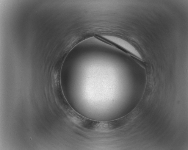 X0000080120123200612221841