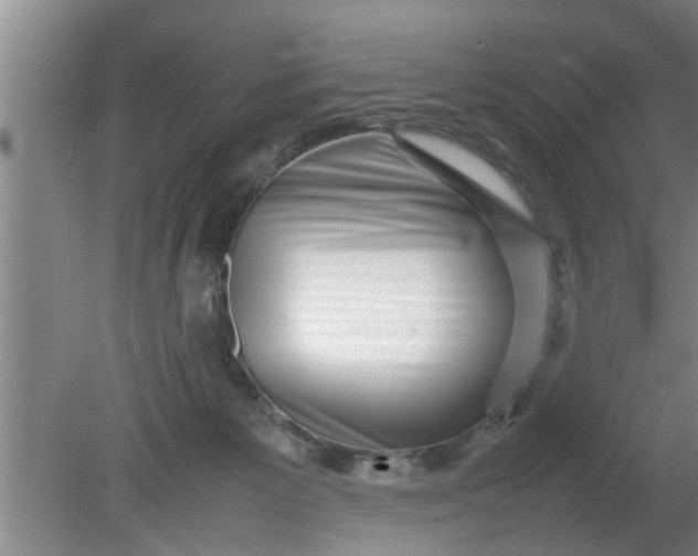 X0000080120125200612221841