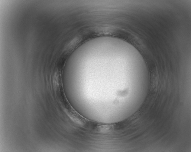 X0000080120126200612221841