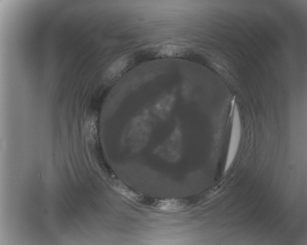 X0000080120127200612221841