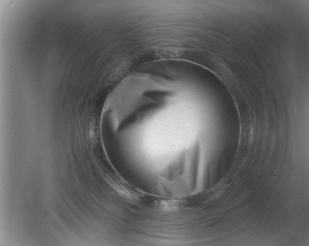X0000080120134200612221841