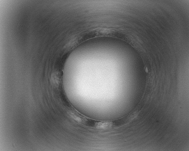 X0000080120135200612221841