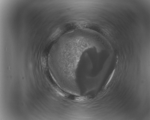 X0000080120139200612221841