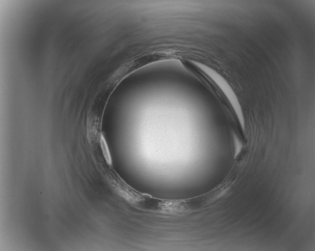 X0000080120141200612221841