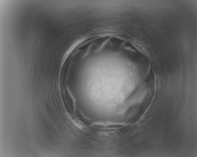 X0000080120147200612221840