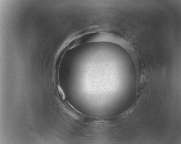 X0000080120150200612221840