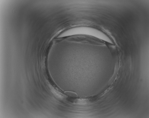 X0000080120154200612221840