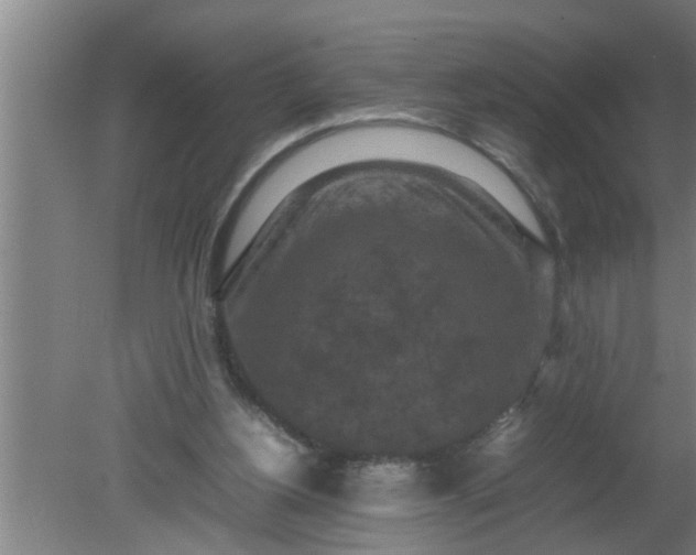 X0000080120156200612221840