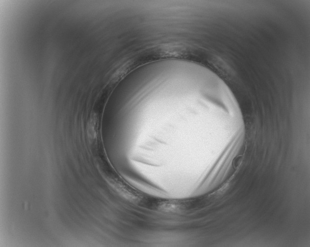 X0000080120174200612221841