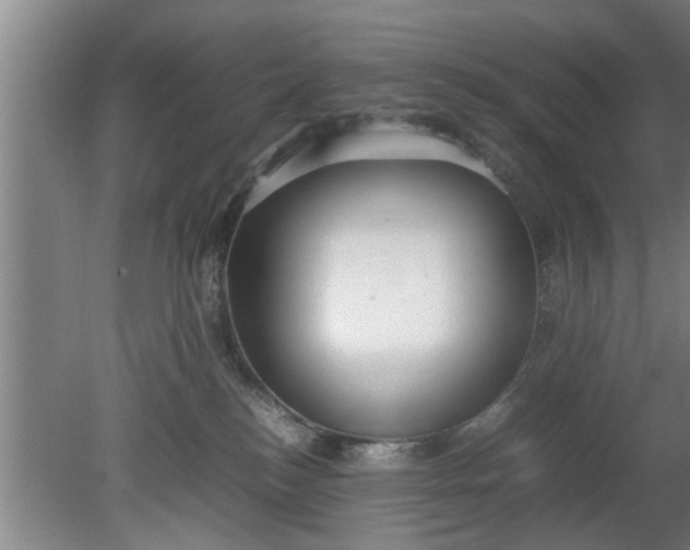 X0000080120184200612221841