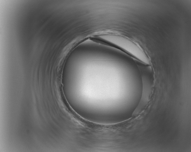 X0000080120193200612221840