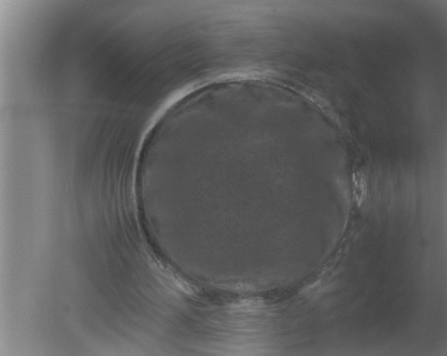 X0000080120196200612221840