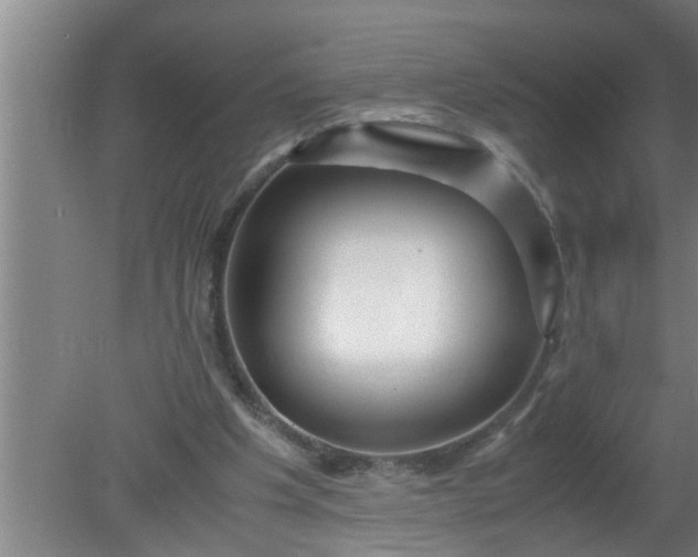 X0000080120201200612221840