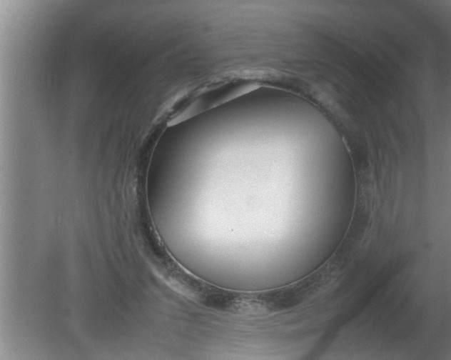 X0000080120207200612221840
