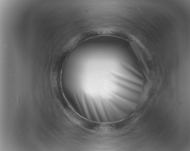 X0000080120209200612221840
