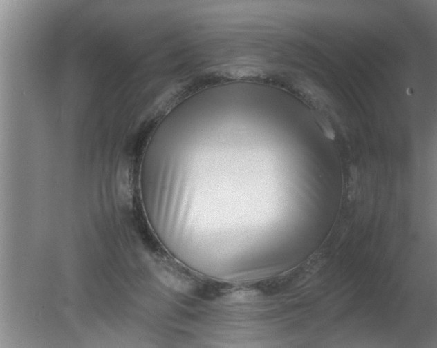 X0000080120210200612221840