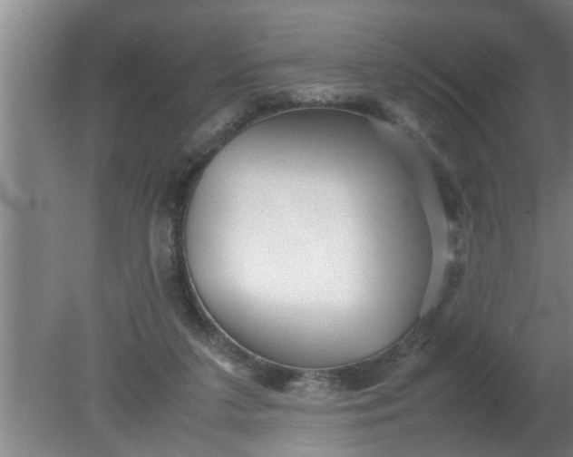 X0000080120211200612221840