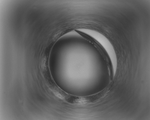 X0000080120219200612221840